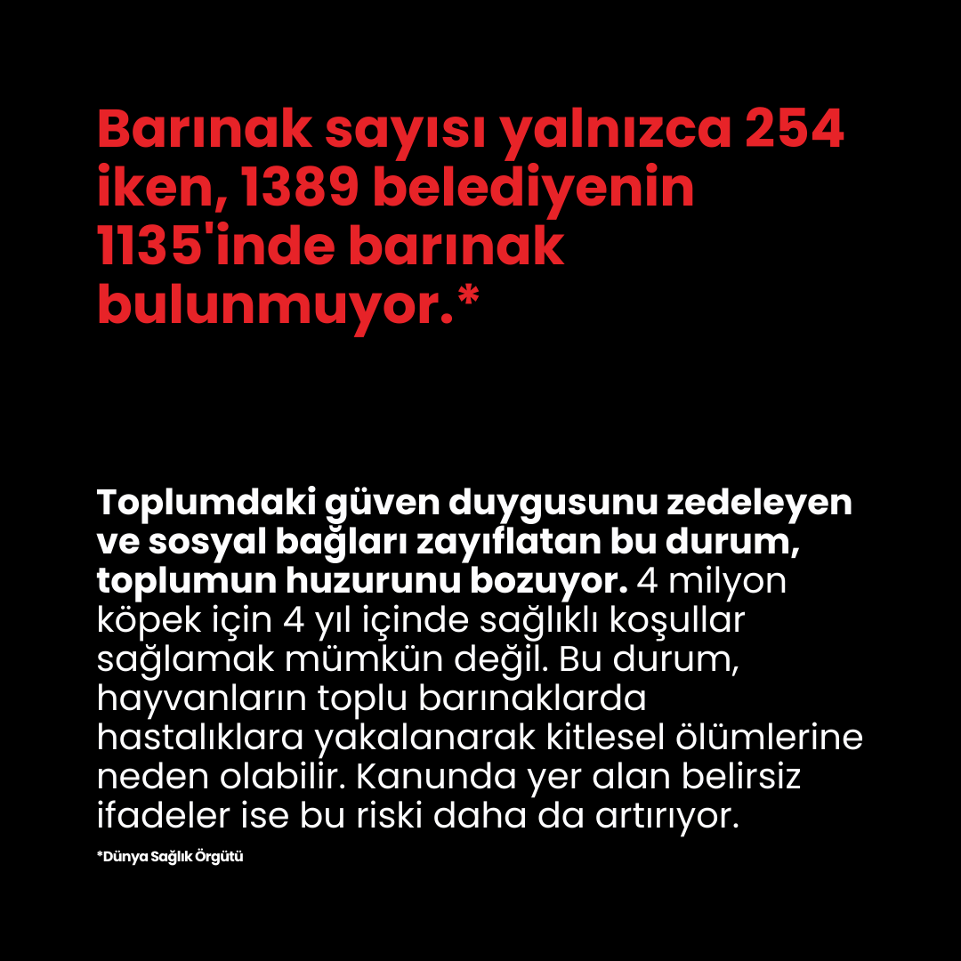 cobirebir's tweet photo. 🐾 Türkiye'de 3,5 milyon sokak köpeği var. Yeni yasa, özellikle Niğde ve Ankara Altındağ'da büyük tepkilere neden oldu. Acımasız uygulamalar toplumsal refahı nasıl etkiliyor? #HayvanHakları #Türkiye https://t.co/crxcYU8Iur