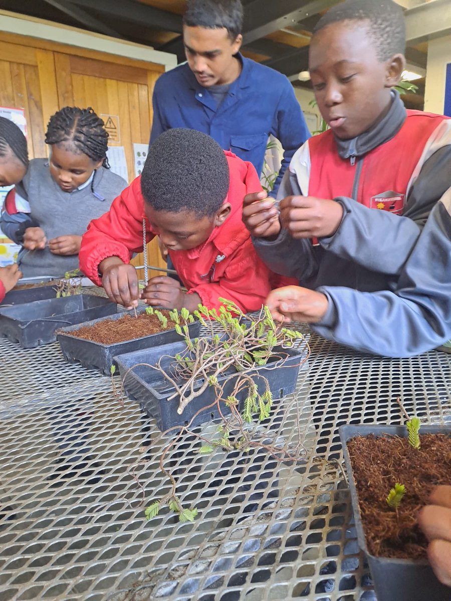 Vukani Primary School Learners Embark on Environmental Education Adventure at UWC Cape Flats Nature Reserve

On the 1st and 2nd of August learners from Vukani Primary School embarked on an exciting educational excursion to the UWC Cape Flats Nature Reserve.