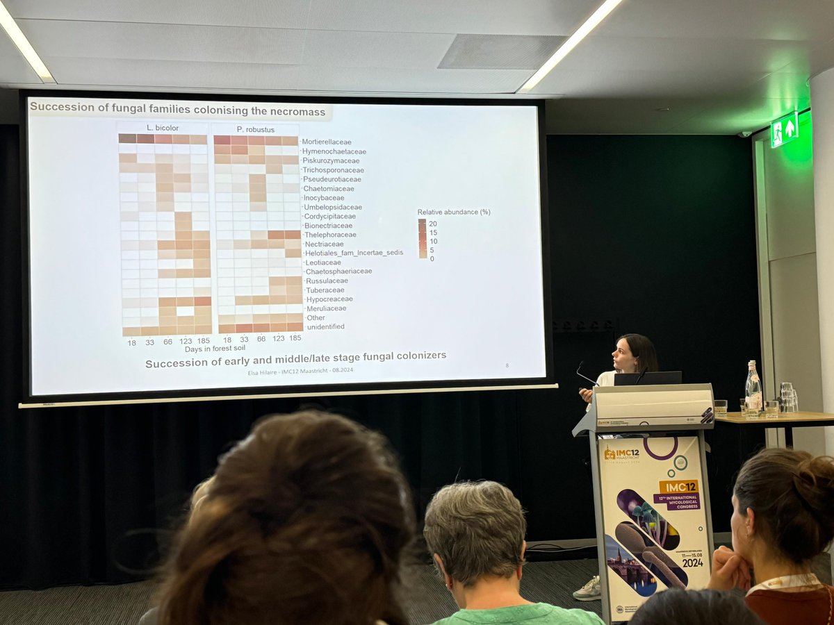 Marc BUEE tweet media