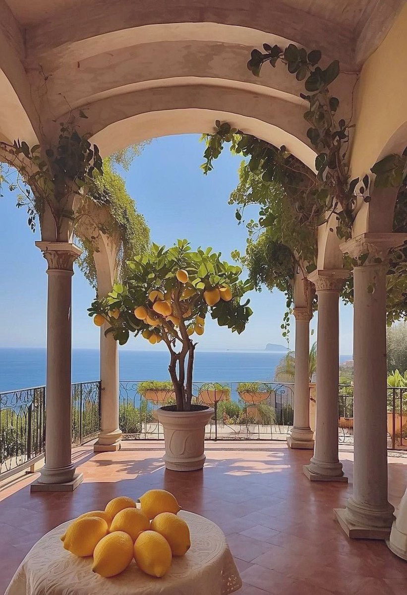 Mediterranean Aesthetics (@mediterraneanae) on Twitter photo 