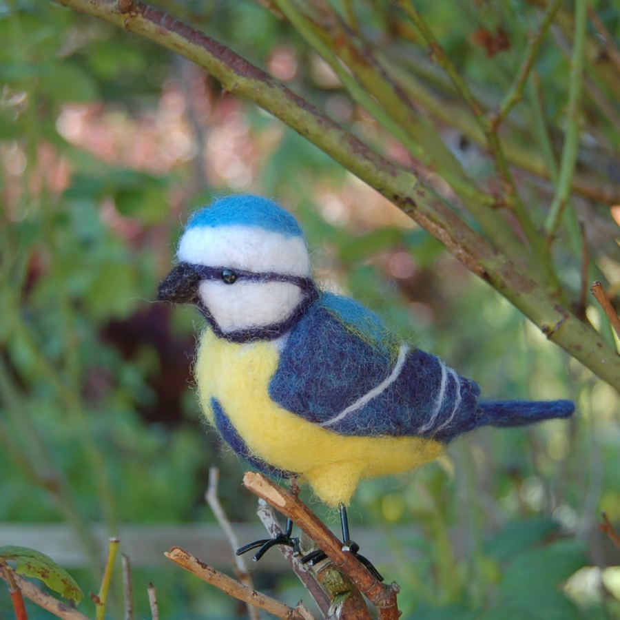 Yorkshireharec1's tweet photo. Needle Felt Blue Tit - wool textile art - Folksy https://t.co/8WPPoEYADj #newonfolksy 

#bluetit #textileart #needlefelt https://t.co/nnZdVZOVF8