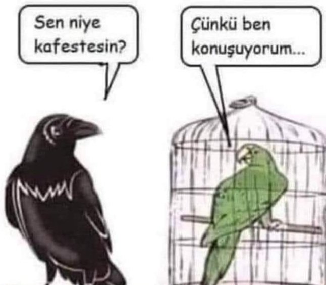 #DilrubaSerbestBırakılsın