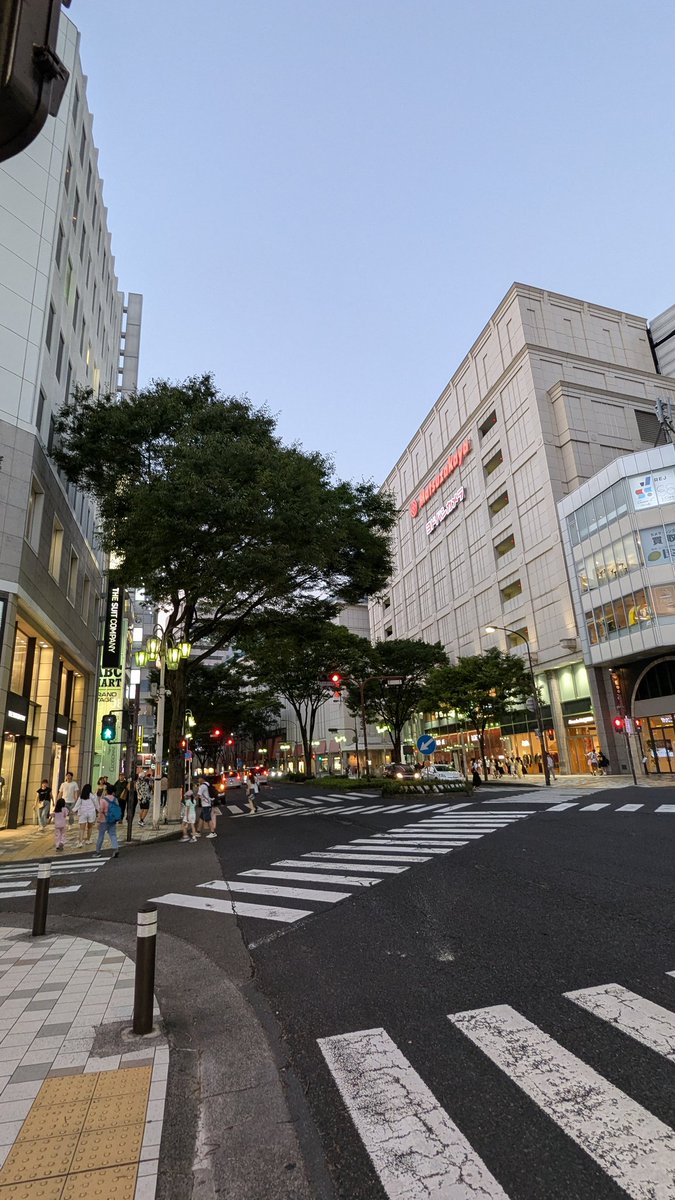 Yozy0101's tweet photo. フラっと名古屋に来ました。大阪から近いのに街の雰囲気がぜんぜん違うのが面白いですね。大津通の何とも言えない��洒な雰囲気が心地よいですね。は関西ではちょっと味わえないですね。強いて言えば神戸かな。でも神戸ともちょっと違うんですよね。やっぱ独特！ https://t.co/xB0vgajbcs