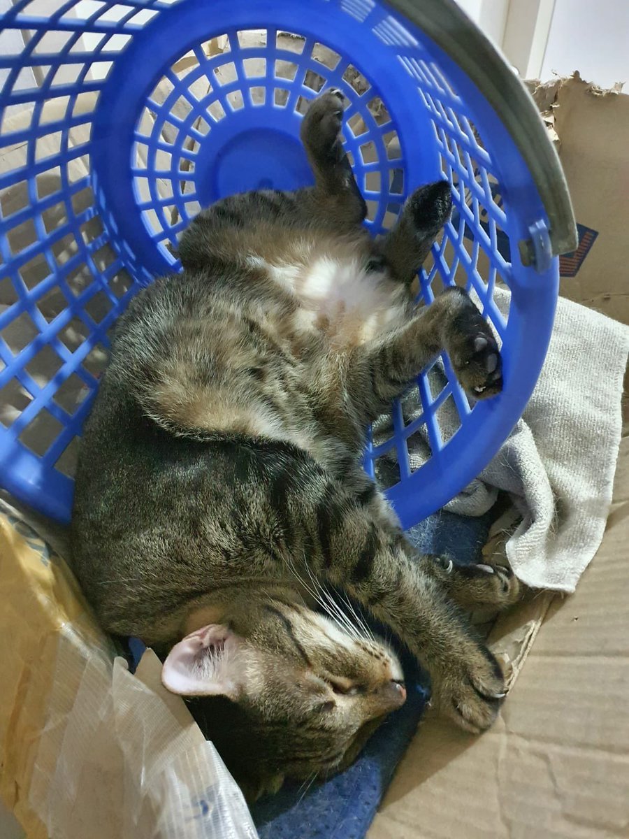 It’s been a while again 😮‍💨
The year went by like 🫣😭🥹😌😳

#socialcleanse