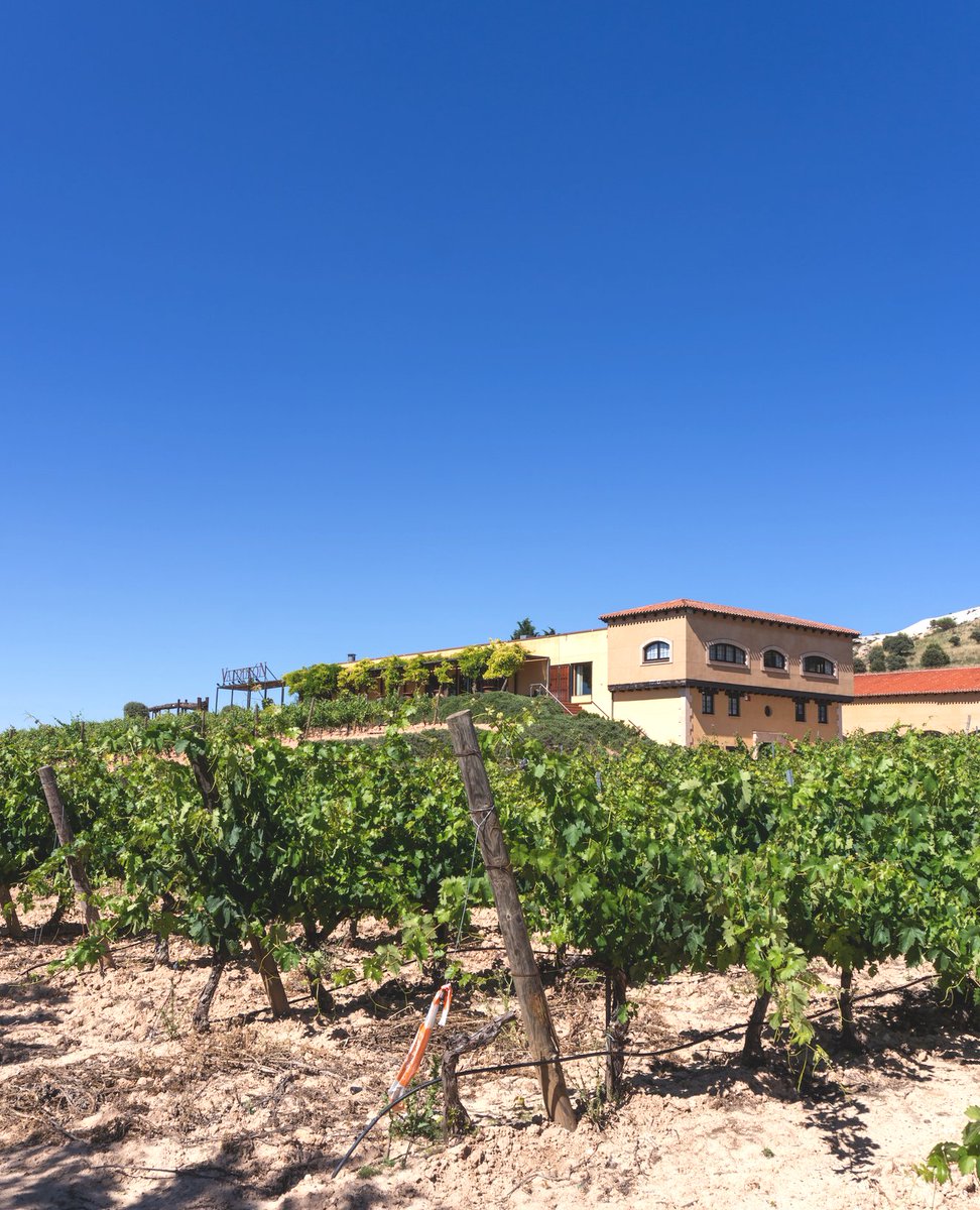 🍇 Ubicada en Milagros, nuestra bodega se encuentra junto al Río Riaza, que fluye desde la majestuosa Sierra de Ayllón hasta el pintoresco valle donde se encuentra Aranda de Duero, en Ribera del Duero. 

Descubre Valdubón en valdubon.com 🌿🏞️

❗ WINE IN MODERATION