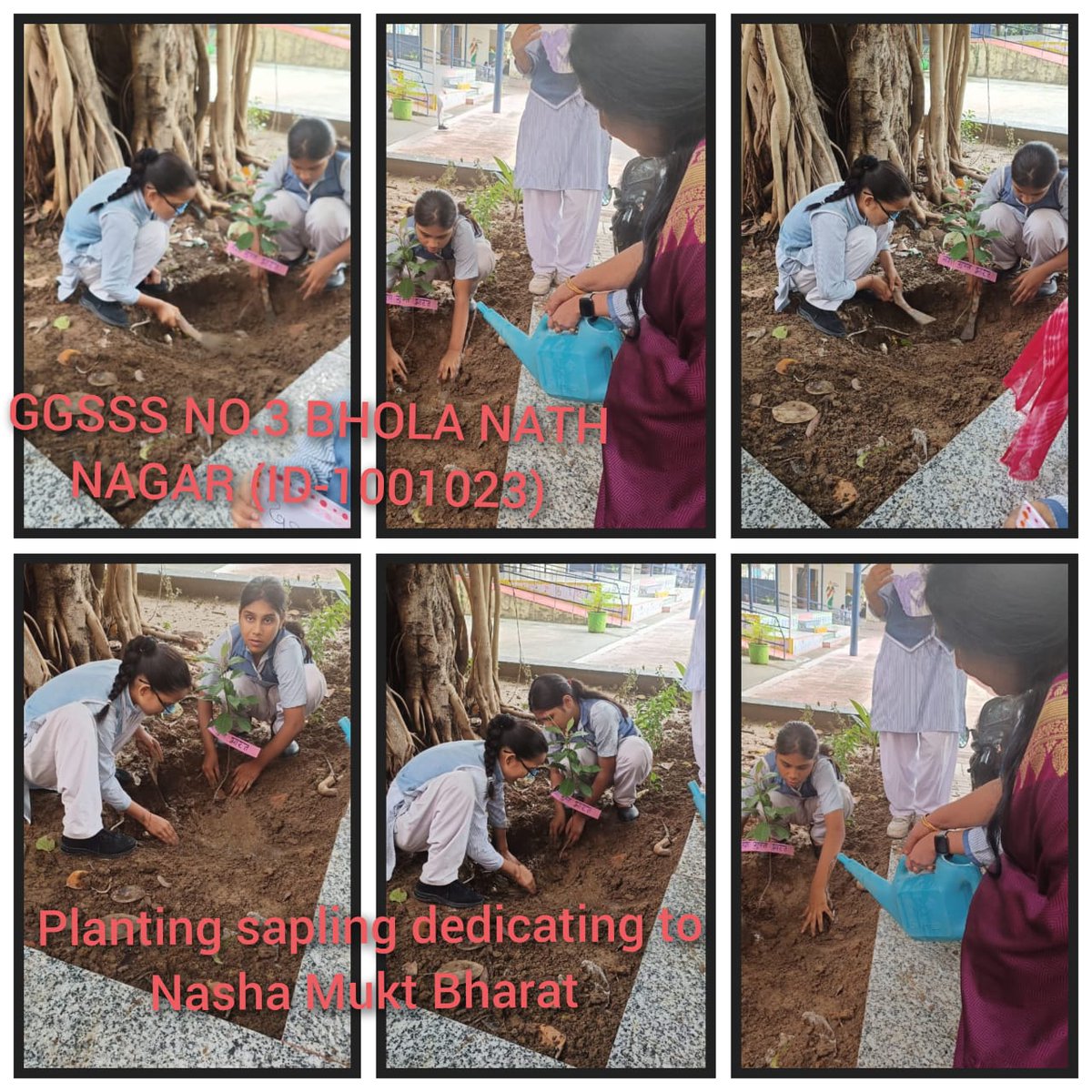 NoGgsss's tweet photo. To tackle the issue of Substance Abuse and a vision to make India Drug Free, various activities were conducted under Nasha Mukt Bharat Abhiyaan at GGSSS NO .3 BNN-1001023
#pledge #assemblytalk #plantation #postermakingcompetition @EduMinOfIndia @Dir_Education @dilli_shiksha https://t.co/rWjHoMaZbm
