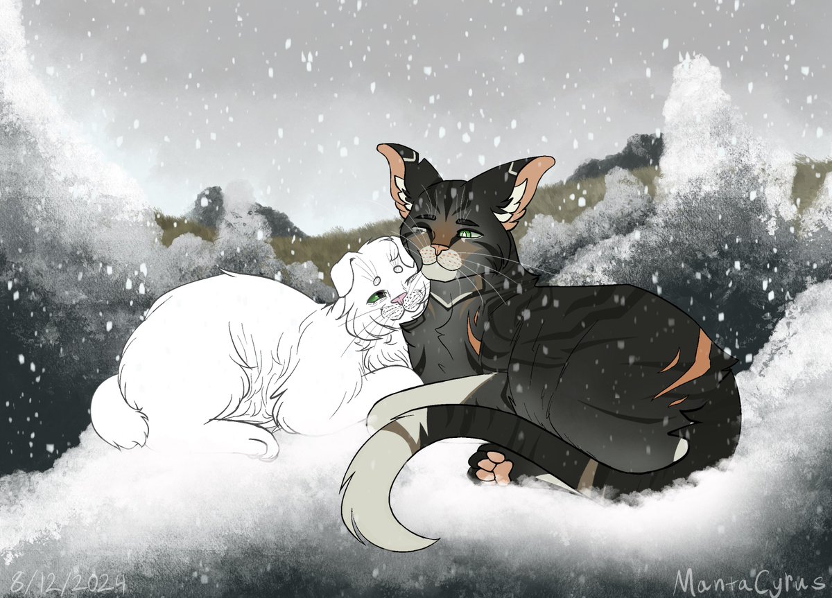 MantaCyrus's tweet photo. #ValleyClans_ 

Rabbitfoot from Plainsclan meeting up and cuddling with his crush/mate Stormstrike (owned by Nesquake) from Ridgeclan enjoying a beautiful snowy day together ✨ https://t.co/V3Jyszaa6V