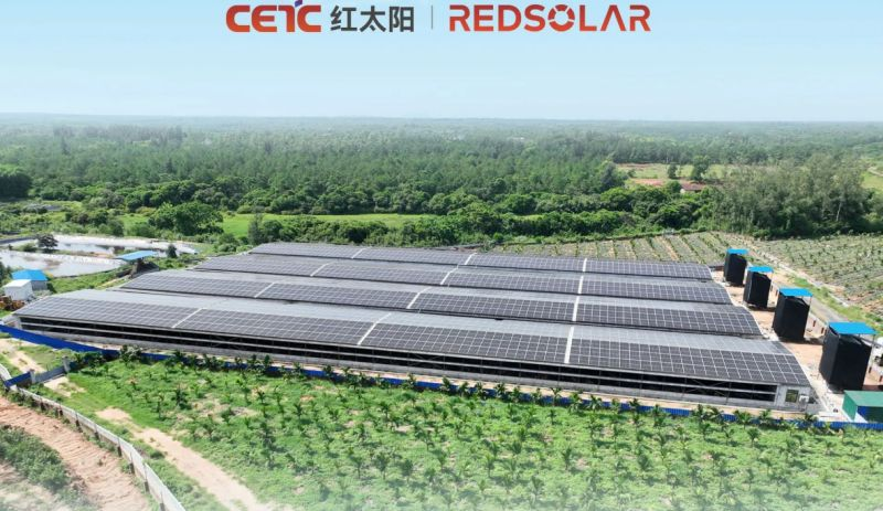 RedSolar2008's tweet image. Recently, CETC-Red Solar and a livestock enterprise in Hainan successfully connected 6MW distributed solar project to the grid. The project generates approximately 7.6 million kilowatt-hours of clean electricity annually, boosting pork production and greatly reducing  CO2.