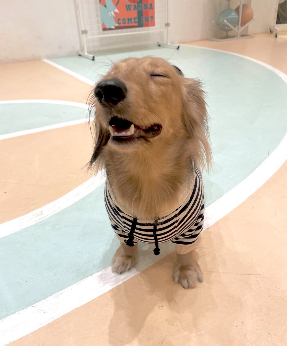 BADVILLAIN tweet media