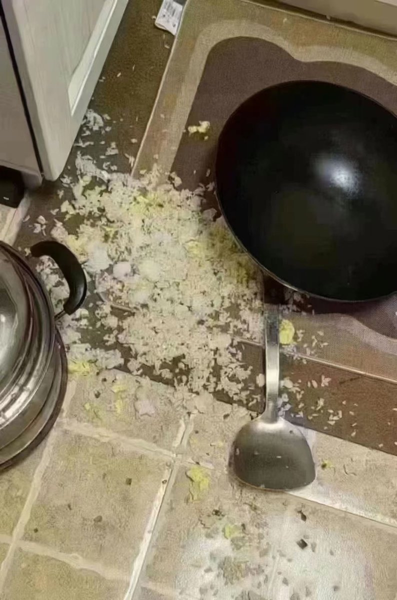本来在做蛋炒饭
你发来消息说要入🚪
我一激动锅也打翻了
然后你消息也不回了 https://t.co/CSHSflxpC2