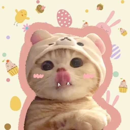 _5ky3's tweet photo. @ArthurNFTx Gm Bae https://t.co/vgFGQq43Ab