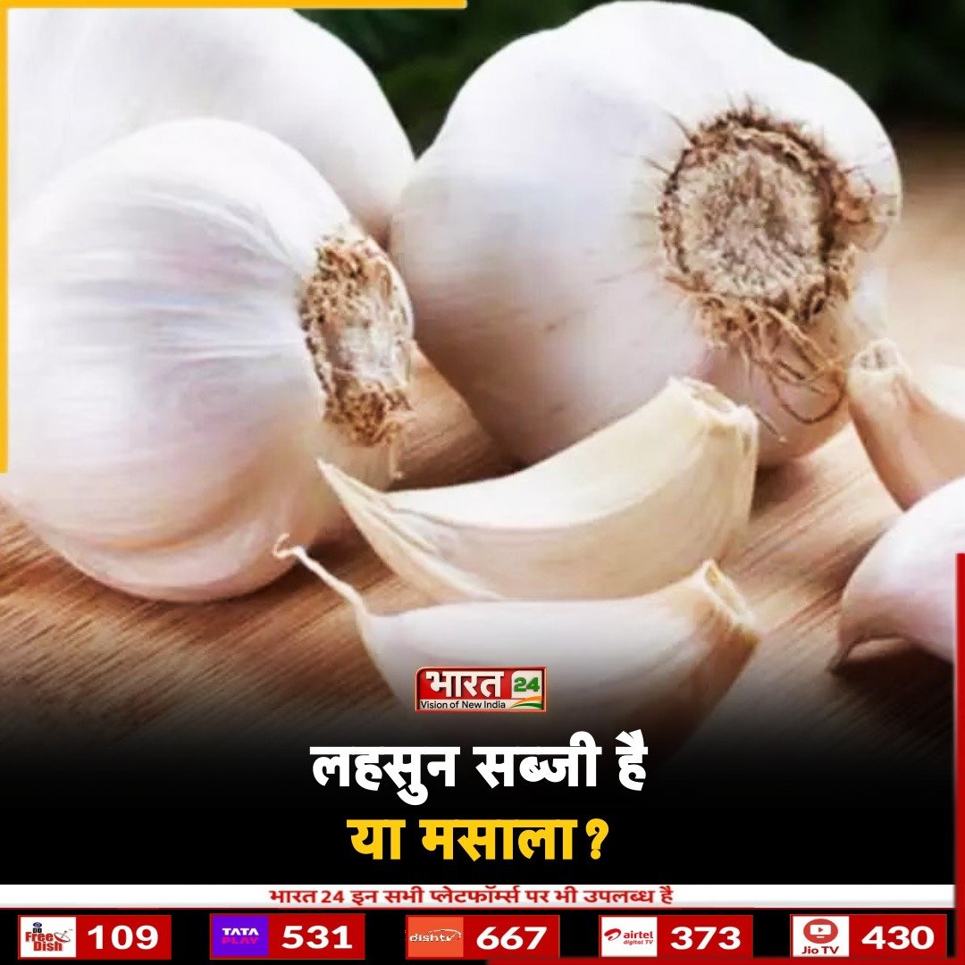 Bharat24Liv's tweet photo. क्या आप जानते हैं कि लहसुन सब्जी है या मसाला? कमेंट कर दें जवाब...
#Vegetable #India #Spice #Garlic #QueAns #Trending #Comment #TopNews #Viral #Bharat24 #Bharat24Digital https://t.co/phUHl70nq8