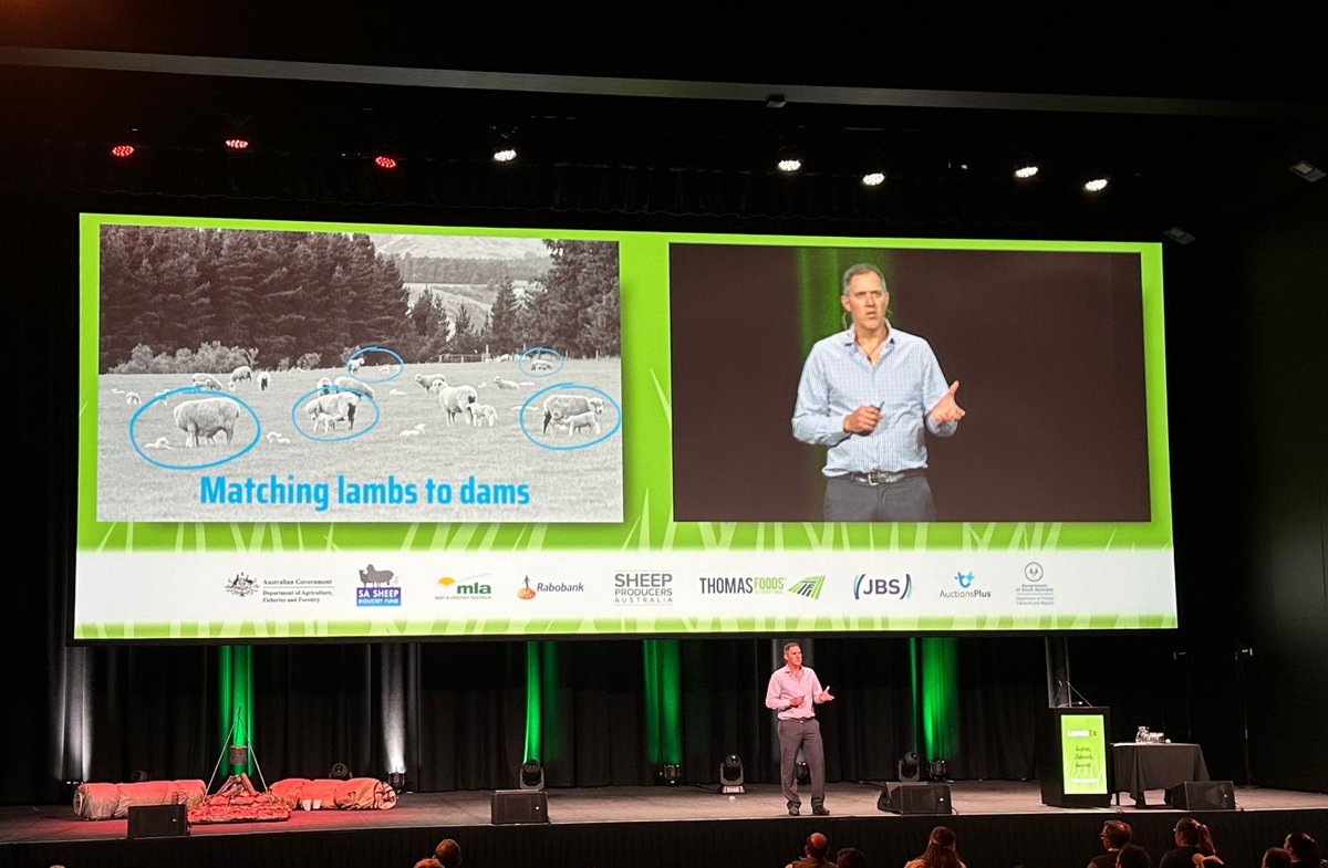 CEO Mark Ferguson showcased <a href="/GenesmithAI/">Genesmith.ai</a> 's future-forward approach at LambEx 2024. With 1,200+ industry professionals in attendance, the vibe was all about innovation and efficiency. Discover more at buff.ly/3XNXFd3.