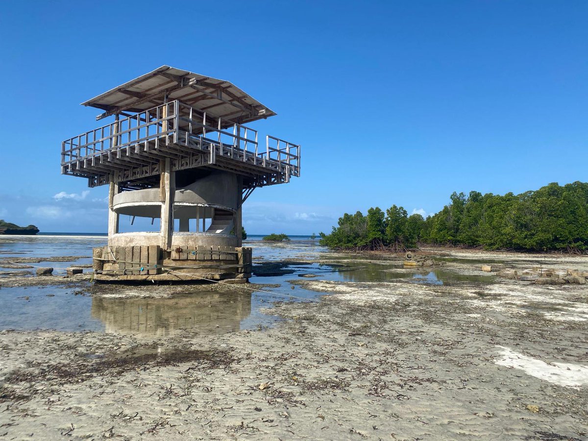 #TeamZabibu have been spending time at #CampTanga 🥰 They have been getting stuck into project work at the local school and have been taking in the beautiful sights on the Indian Ocean! 🌊 #campsinternational #campseffect @campsint