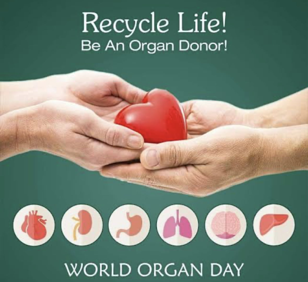 InvisibleWarr11's tweet photo. It's world organ donation day!
Please sign up to be an organ donor, it saves lives!
Forever blessed with my donate organs 
#organdonationday #WorldOrganDonationDay #transplant #Addenbrookes #donate #transplantawareness #OrganDonation #organdonationawareness #nhs https://t.co/gN1V2jKpXE