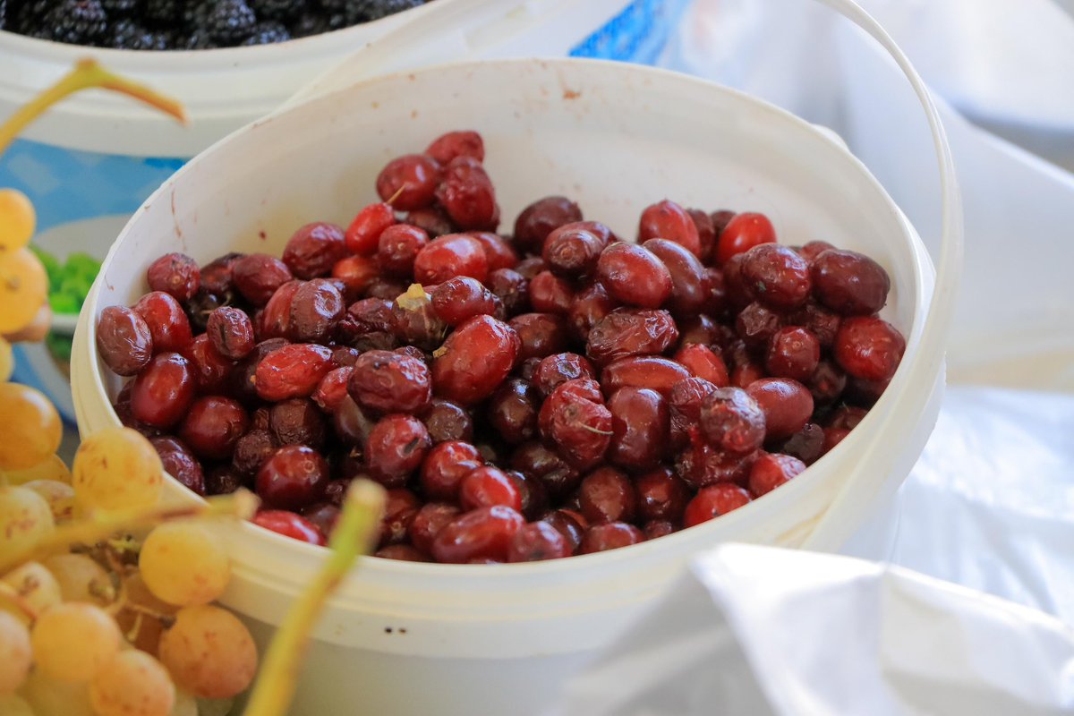 Mirëmëngjes nga📍Tregu i Lëvizshëm, ↪️ku mund të gjeni të gjitha frutat e sezonit 🍇🫐🍐🍎