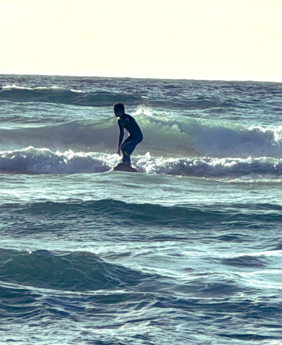 Caroline Morgan tweet media