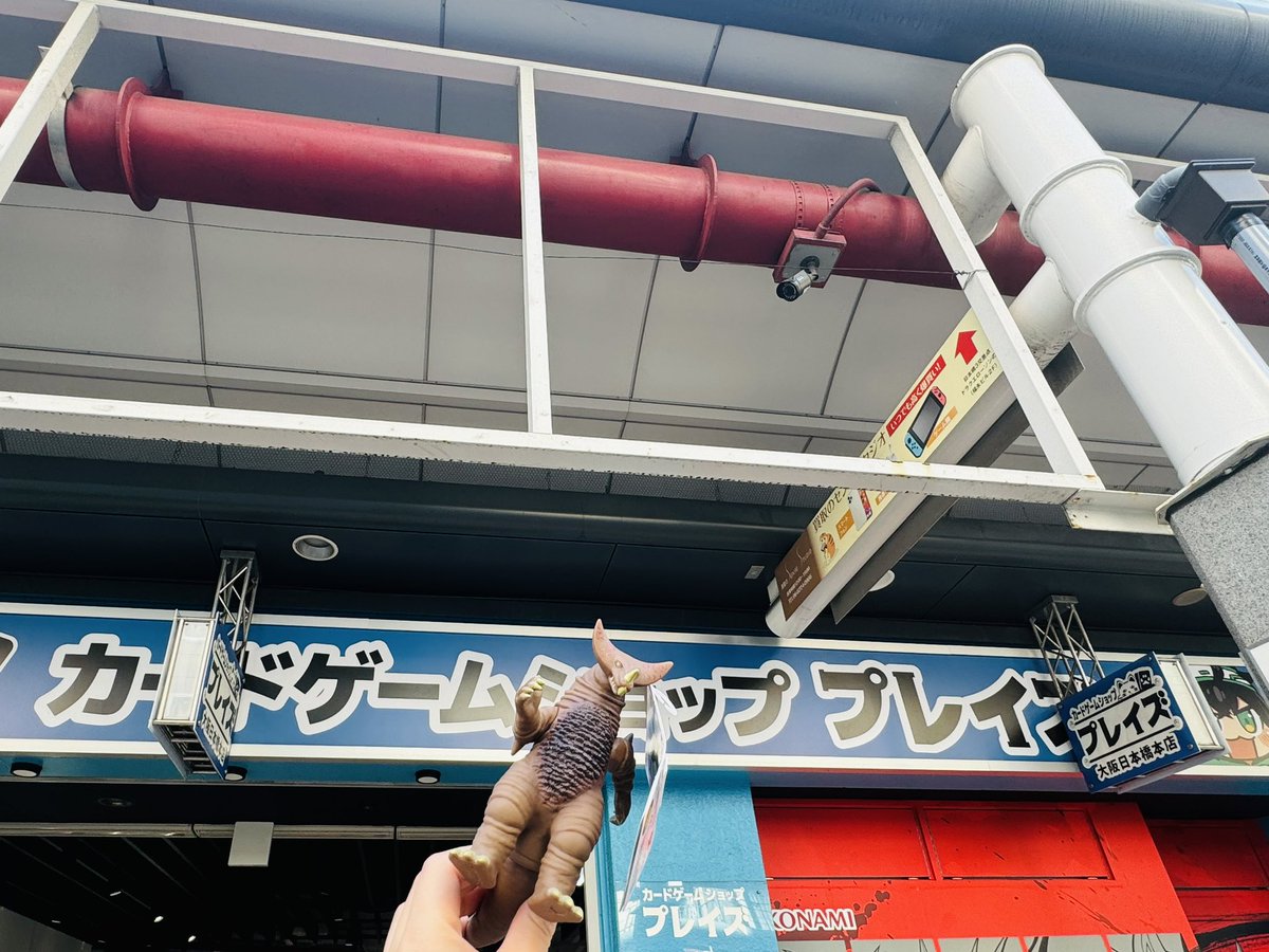 ◢◤#ウルトラマンカードゲーム◢◤ 次はプレイズ様にお伺いしました