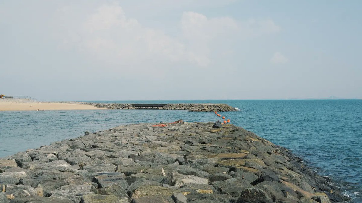 talsel_morl's tweet photo. #西浦温泉 #西浦パームビーチ #竹島
#カメラ #camera #カメラマンさんと繋がりたい #カメラ好きな人と繋がりたい #olympusomdem5mkii #galaxynote10plus #galaxynote10plusphotography https://t.co/zLyOOvCAlC