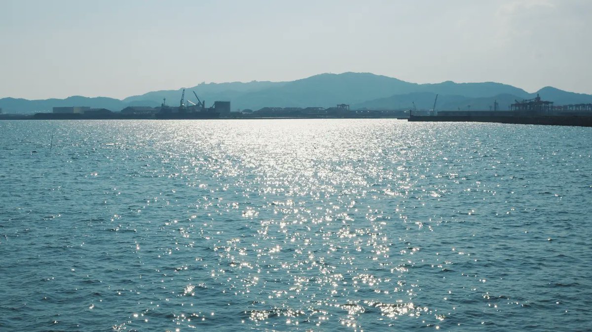 talsel_morl's tweet photo. #西浦温泉 #西浦パームビーチ #竹島
#カメラ #camera #カメラマンさんと繋がりたい #カメラ好きな人と繋がりたい #olympusomdem5mkii #galaxynote10plus #galaxynote10plusphotography https://t.co/zLyOOvCAlC