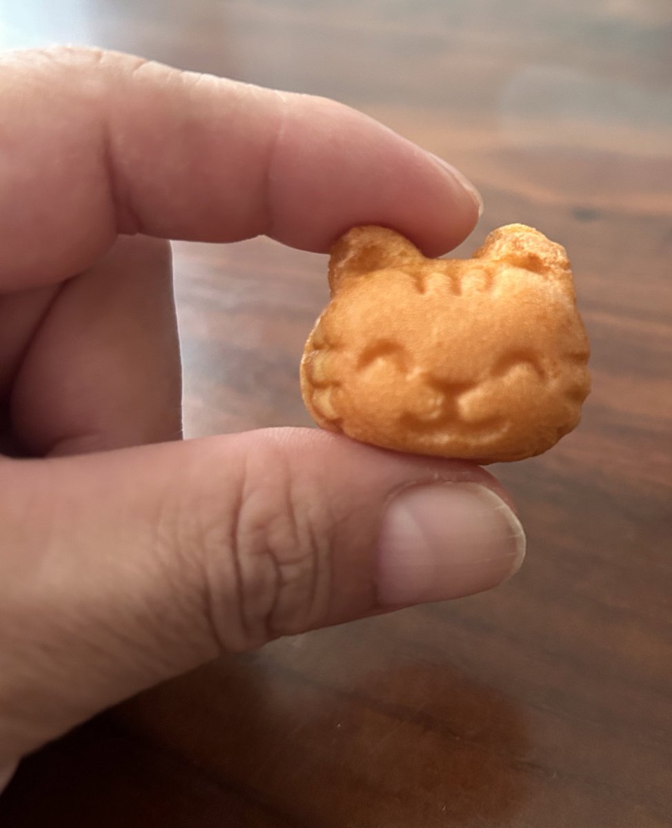 tokyoニャンコロズ