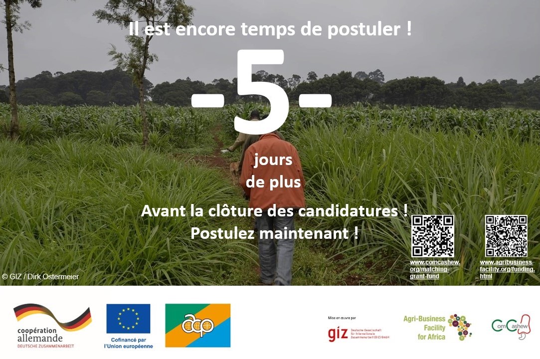 Agri-Business Facility (ABF) tweet media