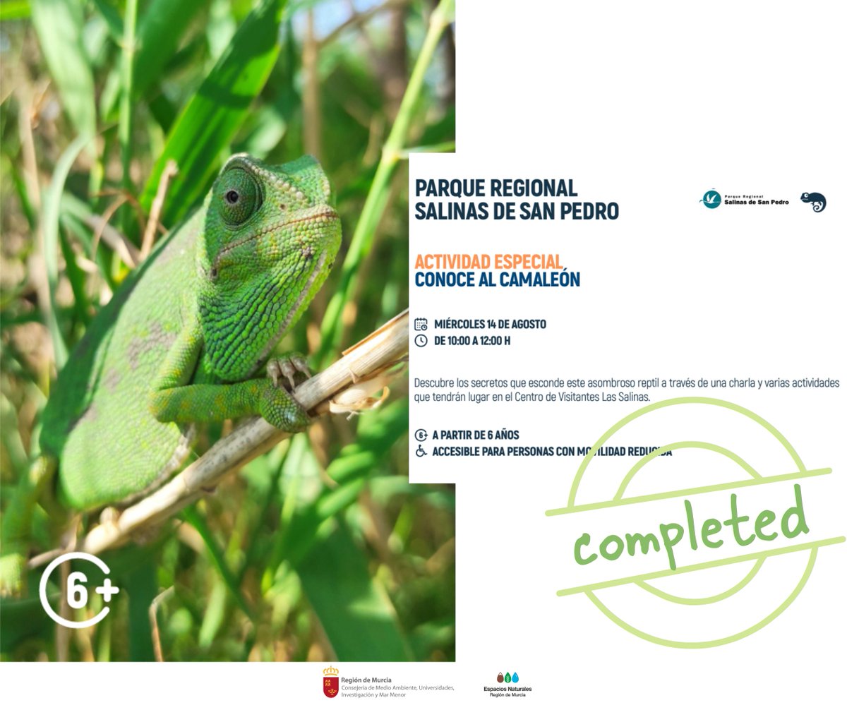 SalinasSPedroPR's tweet photo. Mañana realizaremos una #ActividadEspecial en #CentrodeVisitantes Las Salinas para conocer a un pequeño habitante de las #SalinasSPedroPR, el #Camaleón 🦎
Las plazas están completas, ¡gracias por vuestro interés y #Participación!
#MochiladeActividades #ServicioDeinformación https://t.co/GoNmZZdbC3