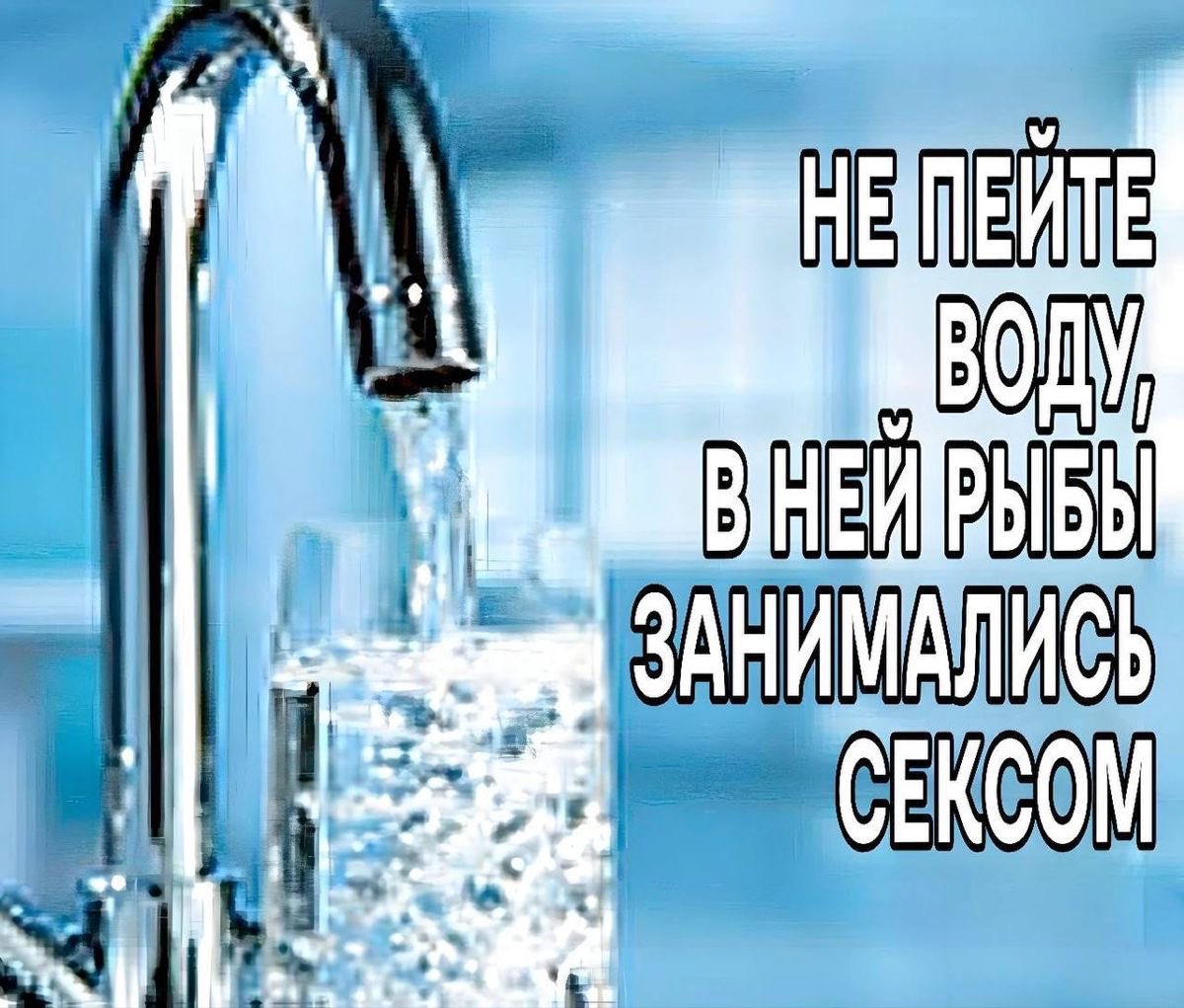 сончи !! tweet media