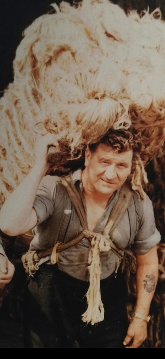 Gordon Morris tweet media