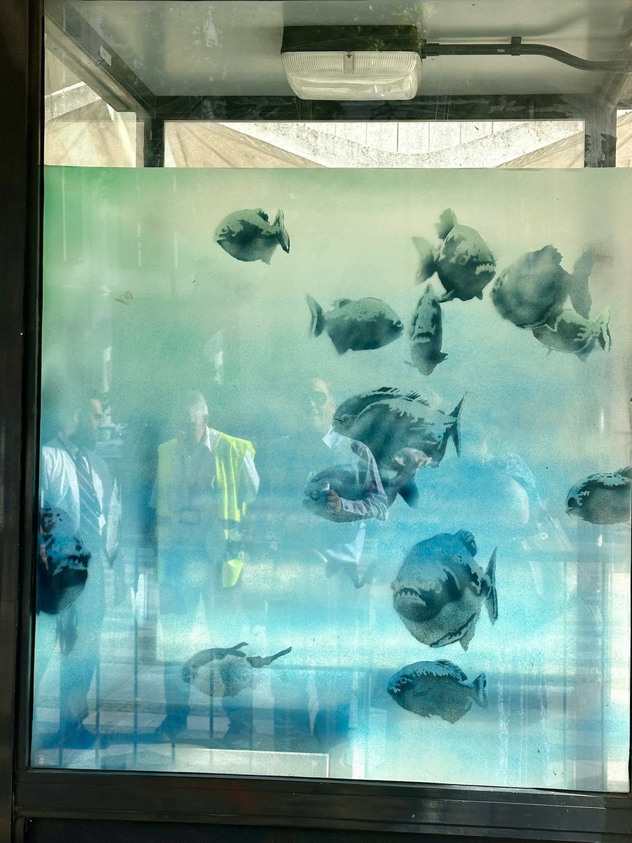 Lisa Ward tweet media