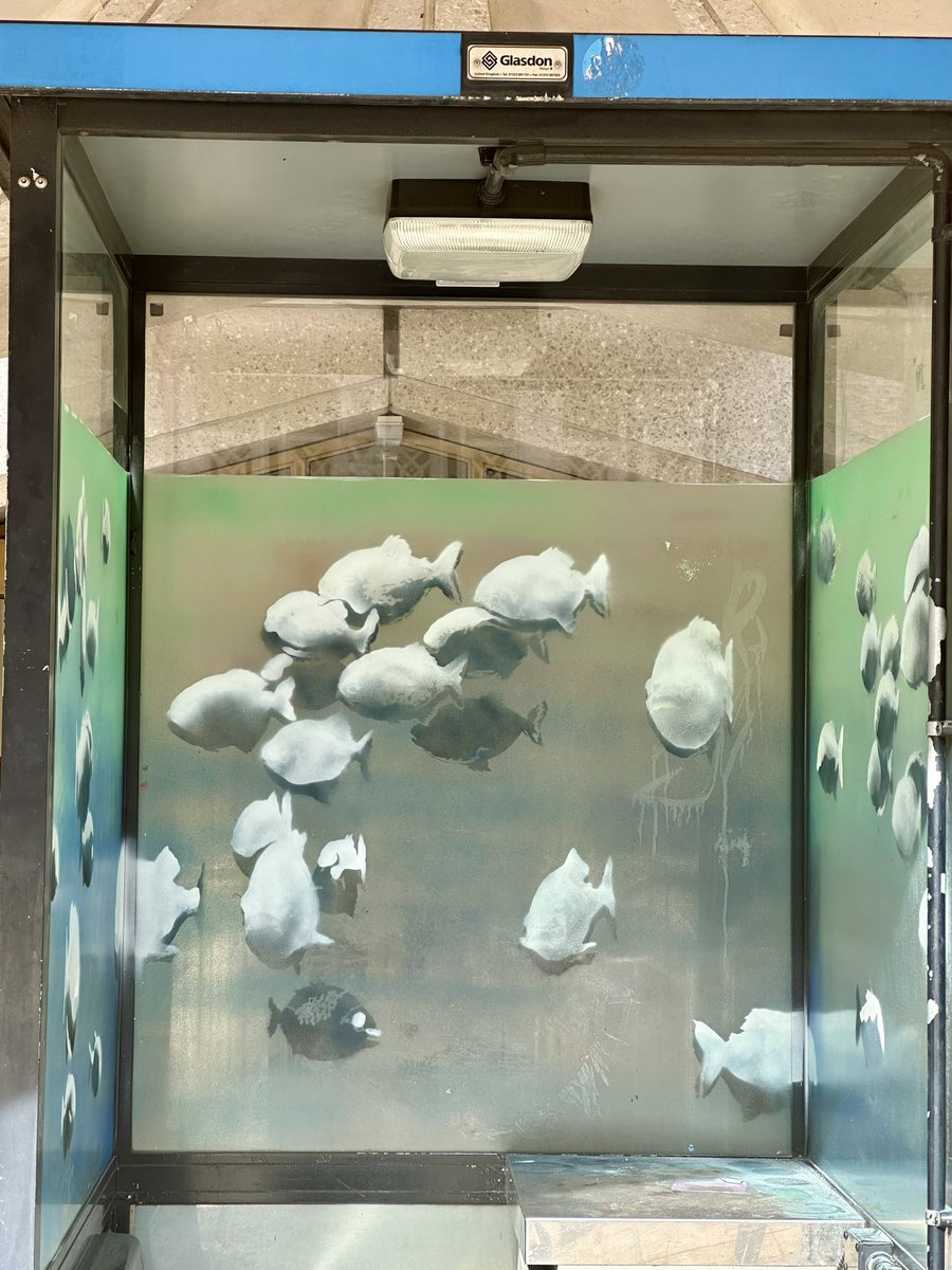 Lisa Ward tweet media