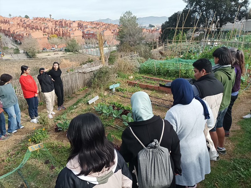 femProcomuns Coop tweet media
