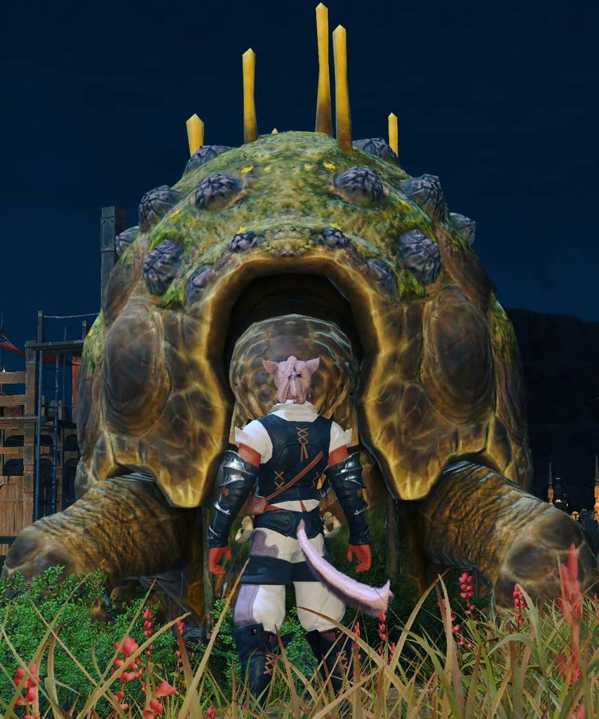 🐢…
でっか

#FF14 #オスッテ