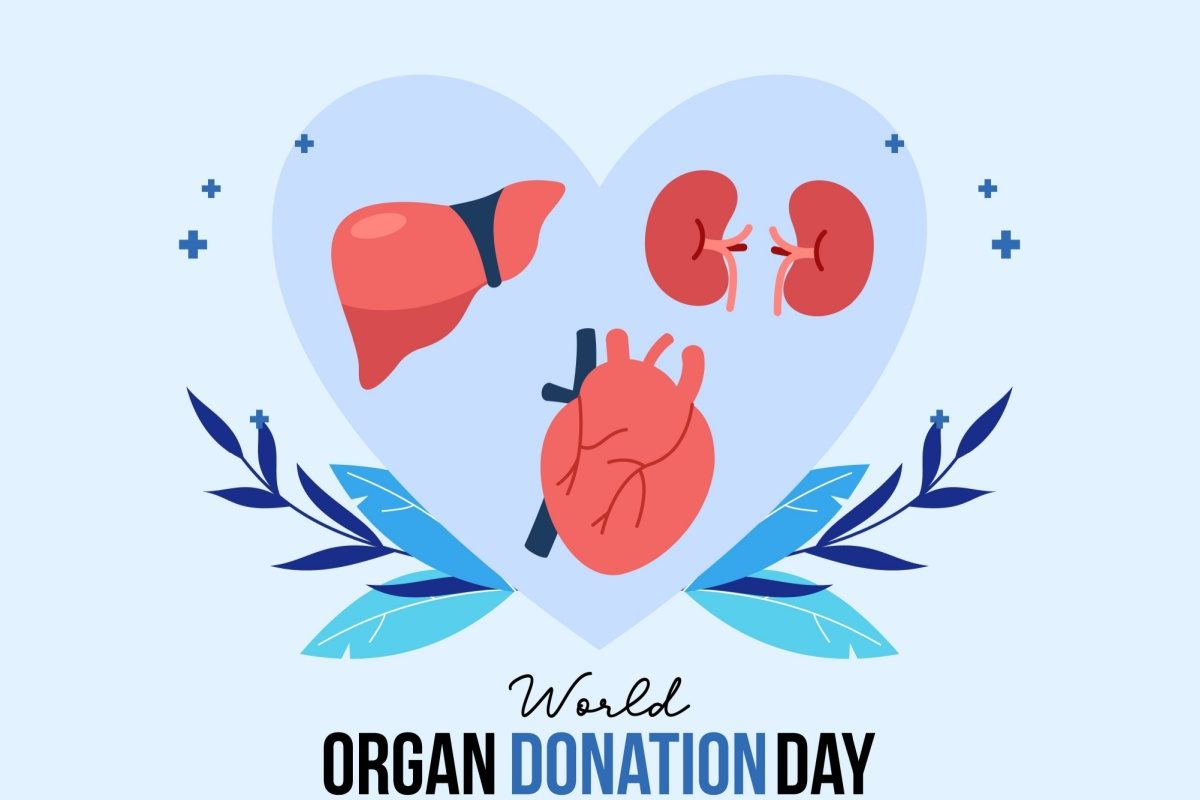 drcnpkaran1's tweet photo. #WorldOrganDonationDay
#SaveLives #DonorPledge #TRANSTAN https://t.co/StfhW8KKIN