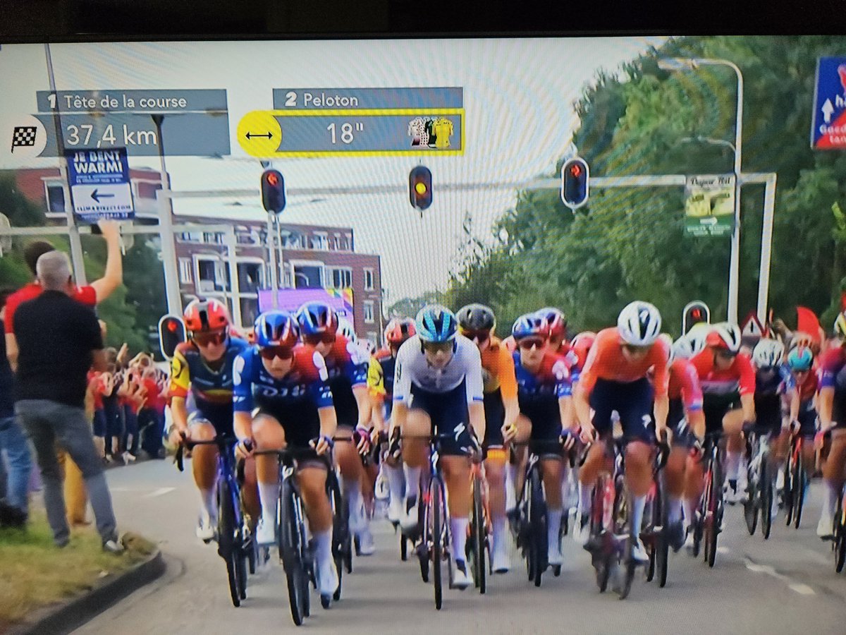 elsemieke havenga tweet media