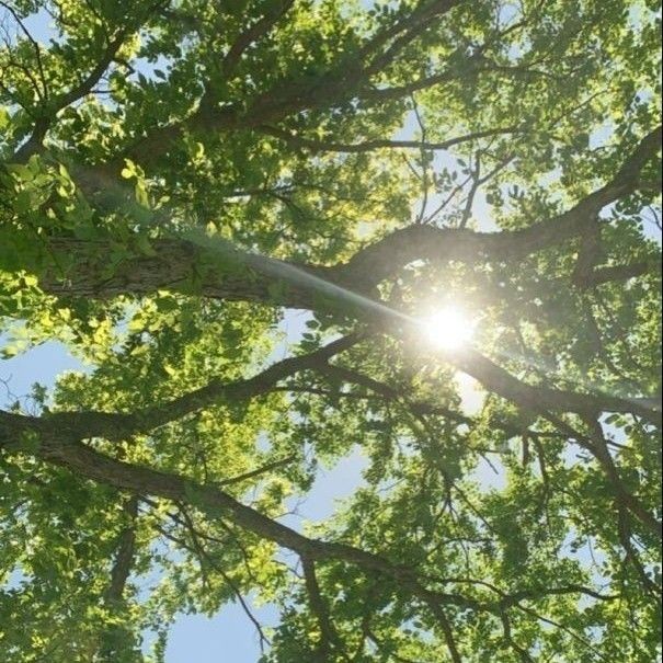 ❝ ... ❞

เขาผ่อนลมถอนหายใจเฮือกใหญ่ออกมาในขณะที่เขาค่อยๆล้มตัวนั่งขัดสมาธิบนผืนหญ้า มือหนึ่งประคองดาบเอาไว้ด้านหน้าตักก่อนเขาจะหลับตาและจดจ่ออยู่กับลมหายใจของตัวเอง