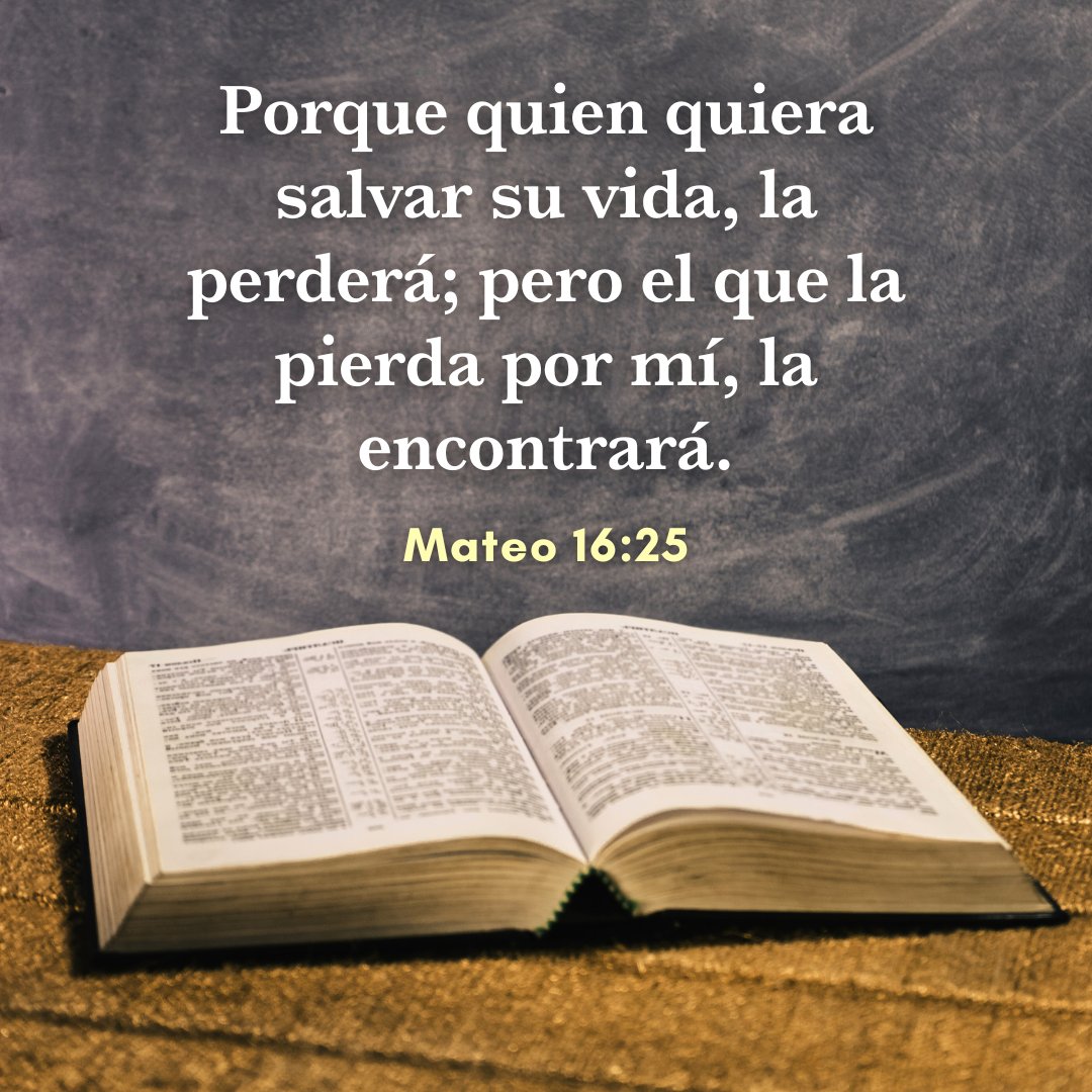 ¿Quieres encontrar la verdadera vida?