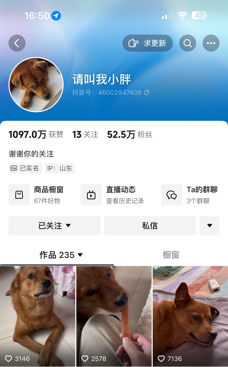 TuckSolana's tweet photo. Did you know Tuck (a.k.a. Xiaopang) is super famous on Douyin?

He has 52.5 million followers on his Douyin account!

P.S. $TUCK coin has no connection to Xiaopang or his owner. This token is simply a tribute to a beloved and well-known meme https://t.co/5iereweuPF