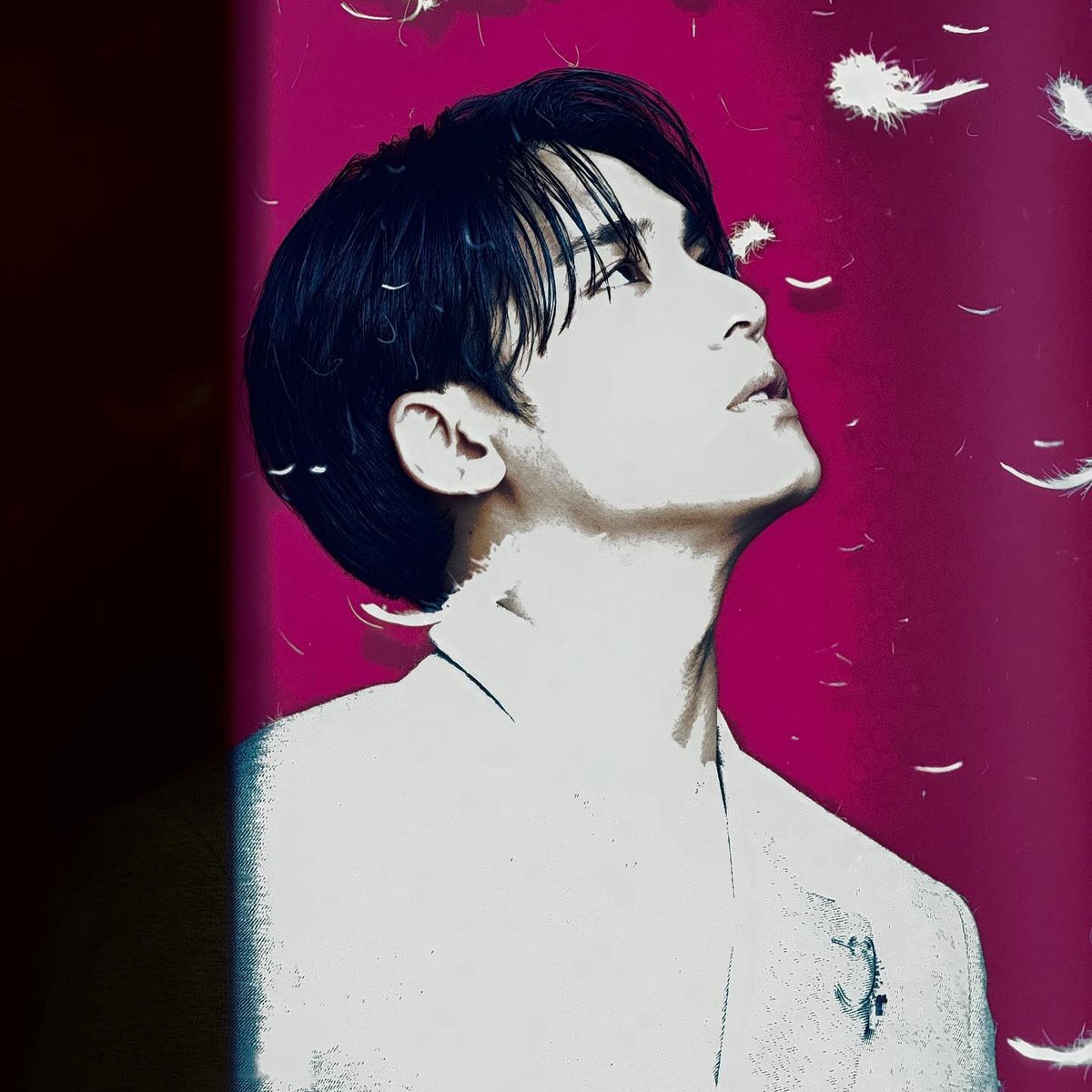 쿱정원 tweet media