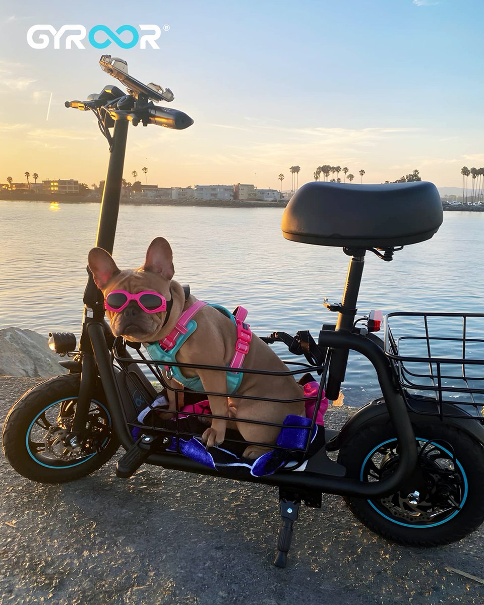GyroorOfficial's tweet photo. This little pup is comfortably seated on the footrest, with the basket ready for any extra gear. Against the serene waterfront at sunset, it’s the perfect way to enjoy the breeze together.  Who’s up for an adventure? 

📸by @Tee Woods https://t.co/dIAKBxkcOj