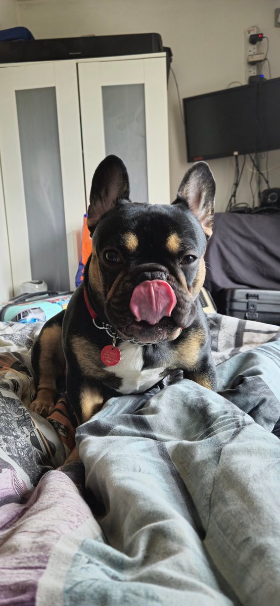 DonnnaSims's tweet photo. #TongueOutTuesday https://t.co/qMv0WAttnz