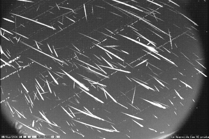 OTRO AÑO DESBORDANTE DE #PERSEIDAS: Nuestras estaciones de vídeo detección llegan a captar cerca de 400 meteoros por noche. Os dejamos, por ejemplo, las detecciones de Vicente Cayuelas <a href="/V_Cayuelas/">Vicente Cayuelas</a> desde La Aparecida #Alicante/#Alacant. 
Más destacados:🎇
➡️ice.csic.es/news/citizen-s…