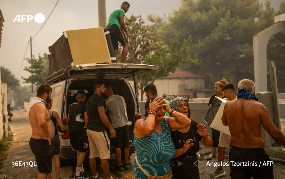 Stephanie Youssef tweet media