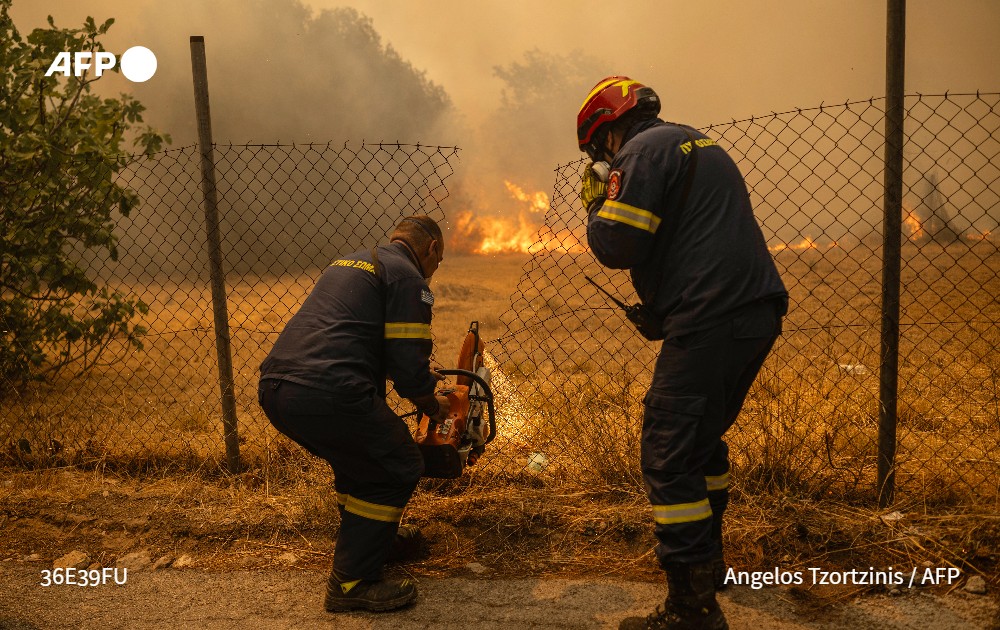 Stephanie Youssef tweet media