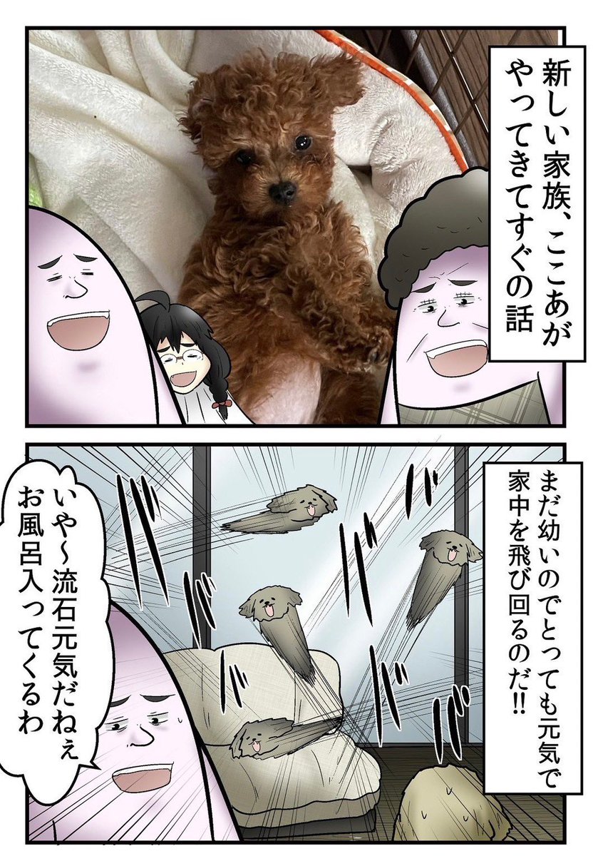 犬にチンチン噛まれて病院で大恥をかいた話 1/9 