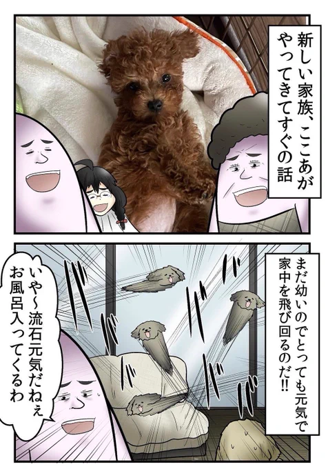 犬にチンチン噛まれて病院で大恥をかいた話 1/9 