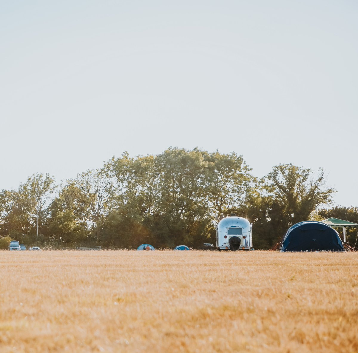 Unplug and get away from it all - come and spend a few nights in beautiful White Cliffs Country. Pitch your tent, cook on a camping stove, nod off under the stars and wake to the sound of birdsong... 
Make summertime memories with your favourite people.
whitecliffscountry.org.uk/stay/campsites…