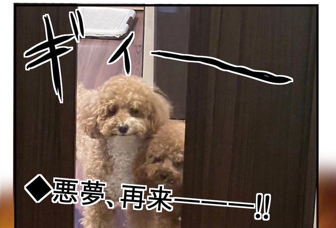 犬にチンチン噛まれて病院で大恥をかいた話 8/9 