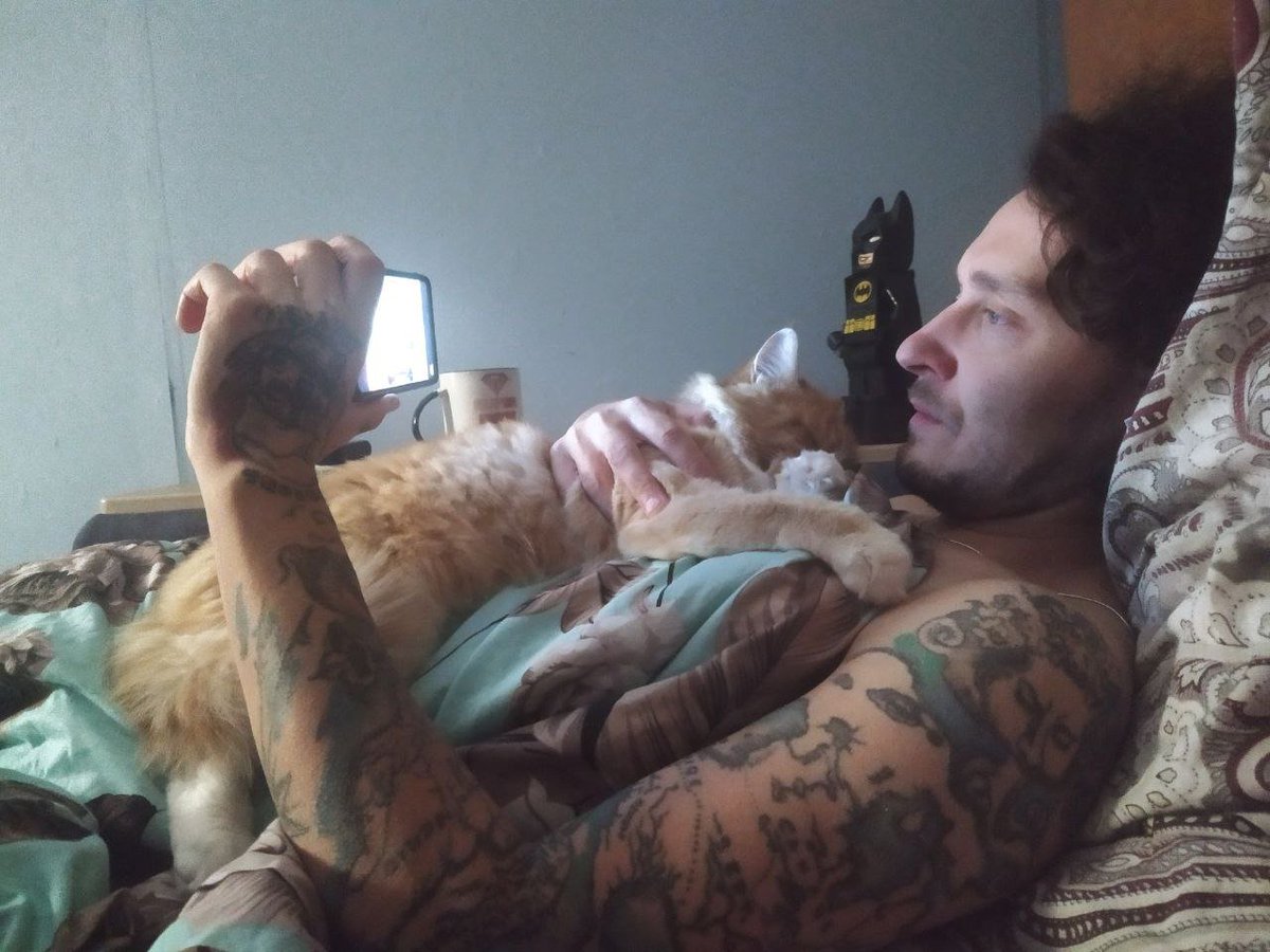 кошька лежит на моём месте каждый вечер, но я уже смирилась :3