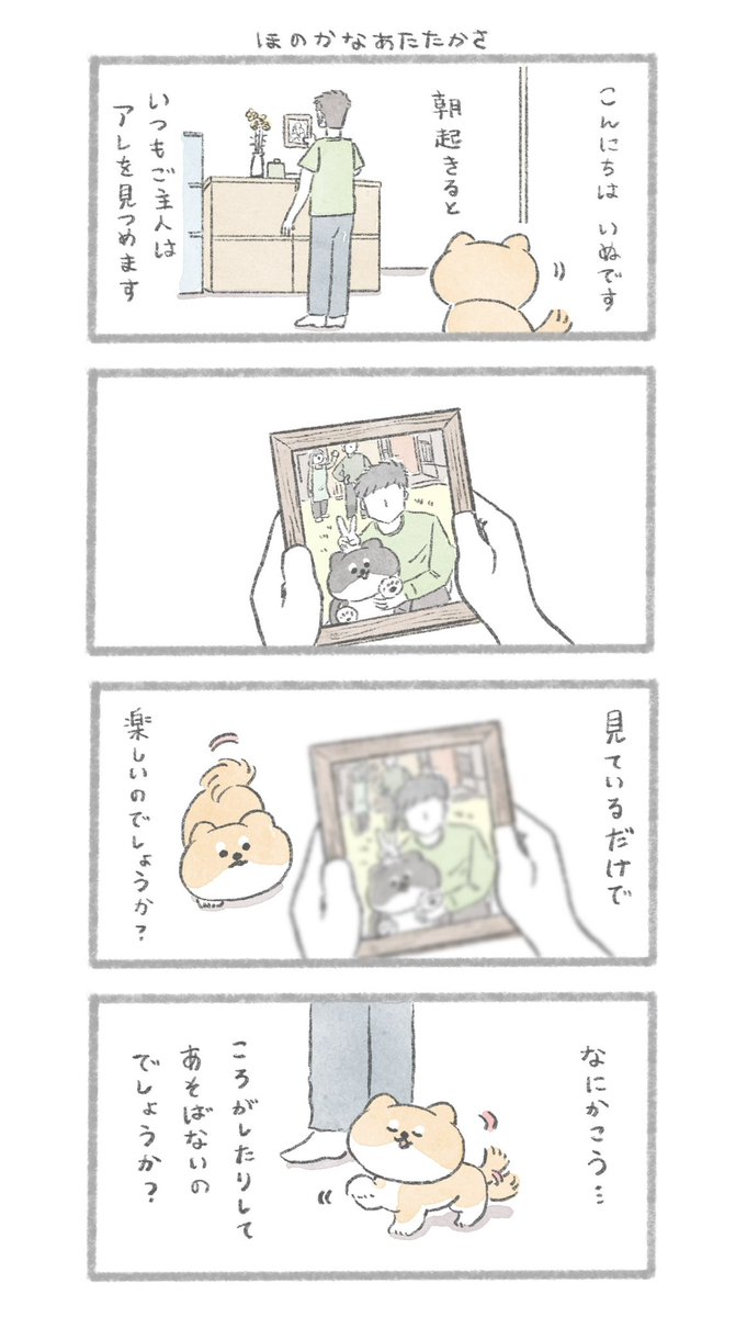 ほのかなあたたかさ
#こんにちはいぬです 